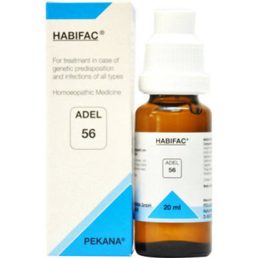 https://cdn.shopify.com/s/files/1/1857/6931/files/VirSfL7GM4-898158.jpg?v=1736143259